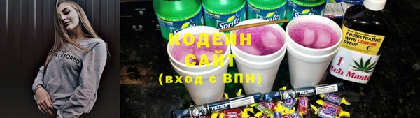 ПСИЛОЦИБИНОВЫЕ ГРИБЫ Арсеньев