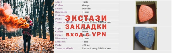 хмурый Аркадак