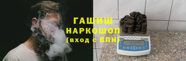 сатива Бородино