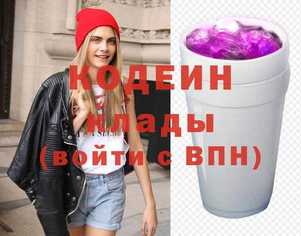 хмурый Аркадак