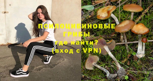 MESCALINE Баксан