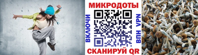 блэк спрут как войти  Фролово  Псилоцибиновые грибы Psilocybe 